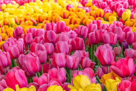 �1763361 �������(a): ����������:1920x1279